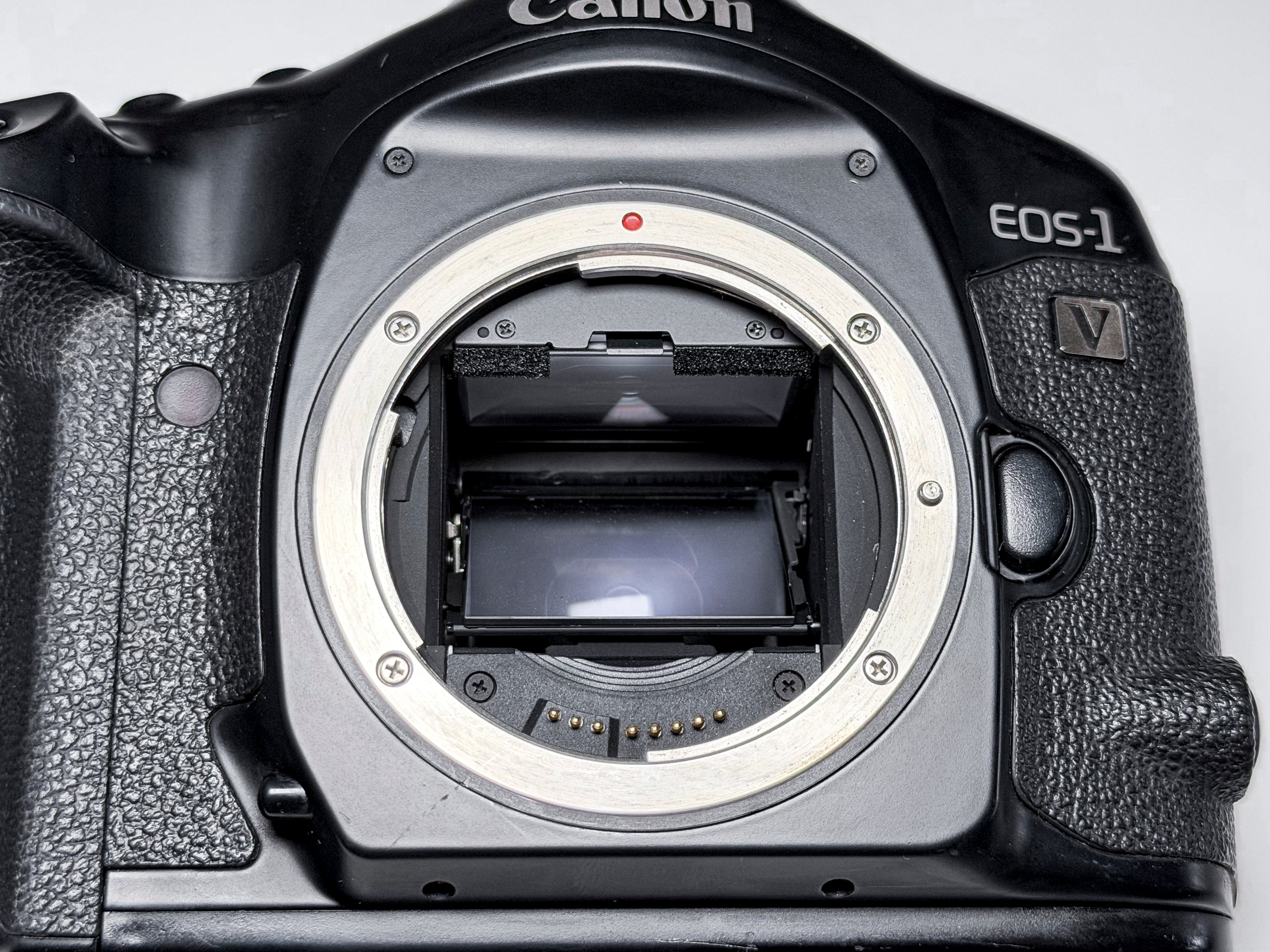 Canon EOS 1V 35mm Film SLR - 1 Year Warranty, Excellent