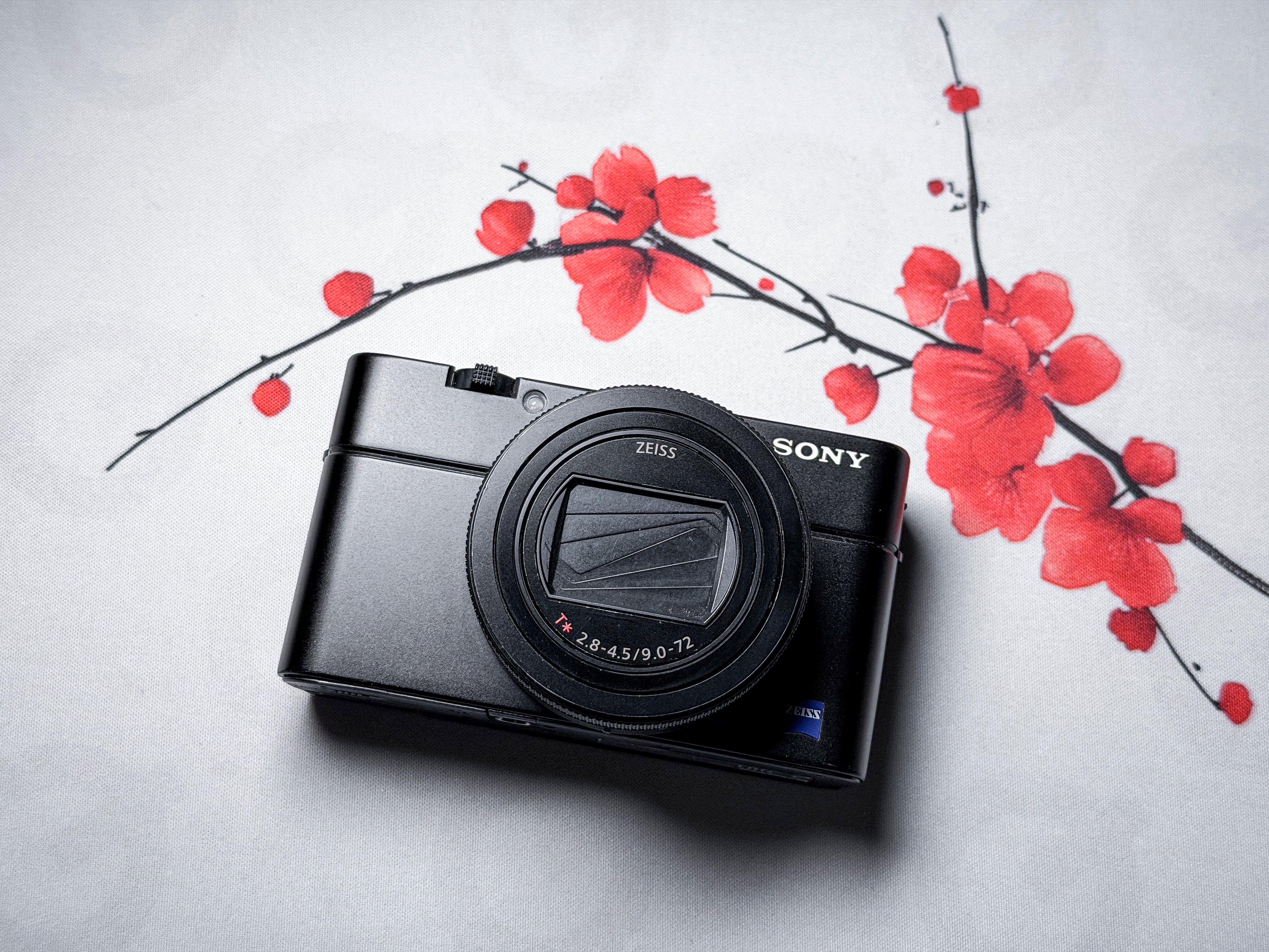Sony RX100 VI Cyber-shot - Working, Flash Error