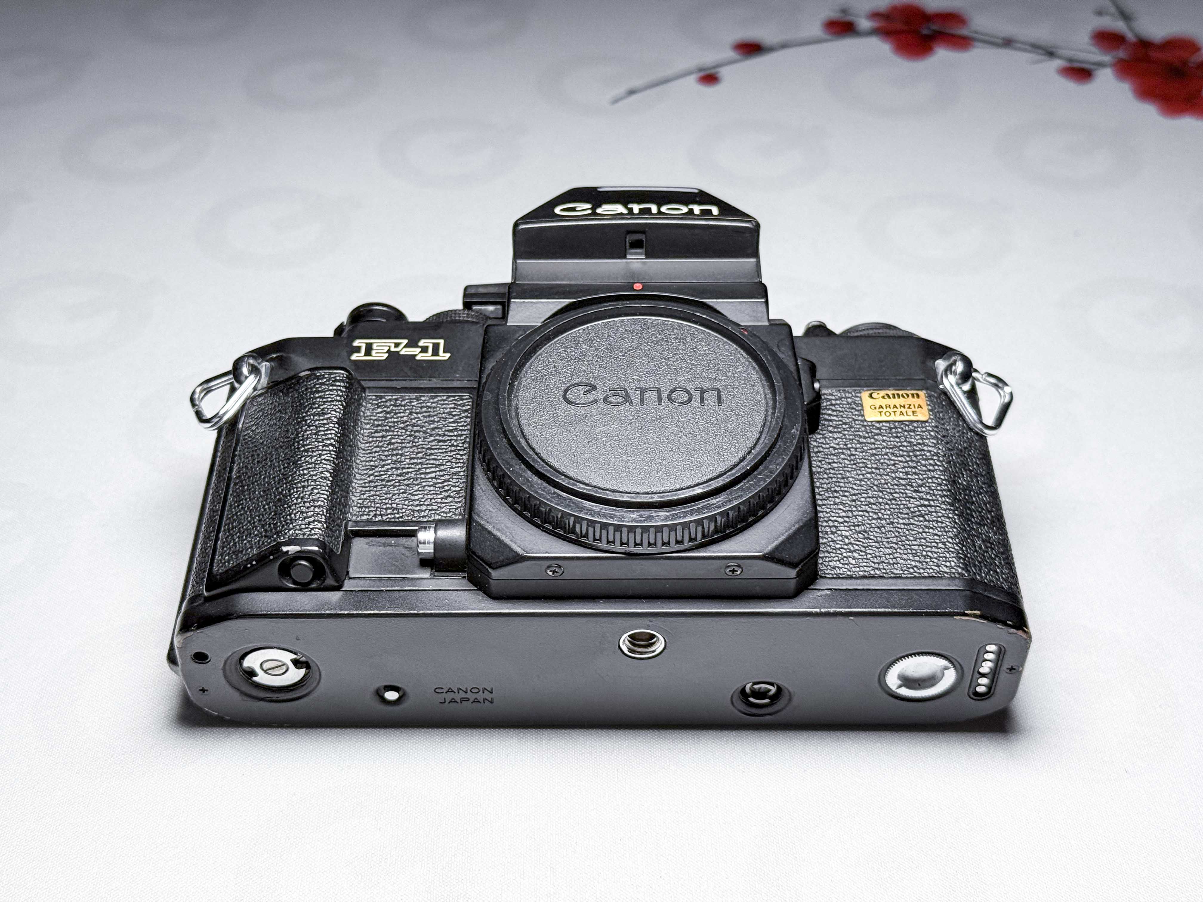 Canon F1 New 35mm SLR Camera FD Mount New F-1 - Film Tested, Excellent