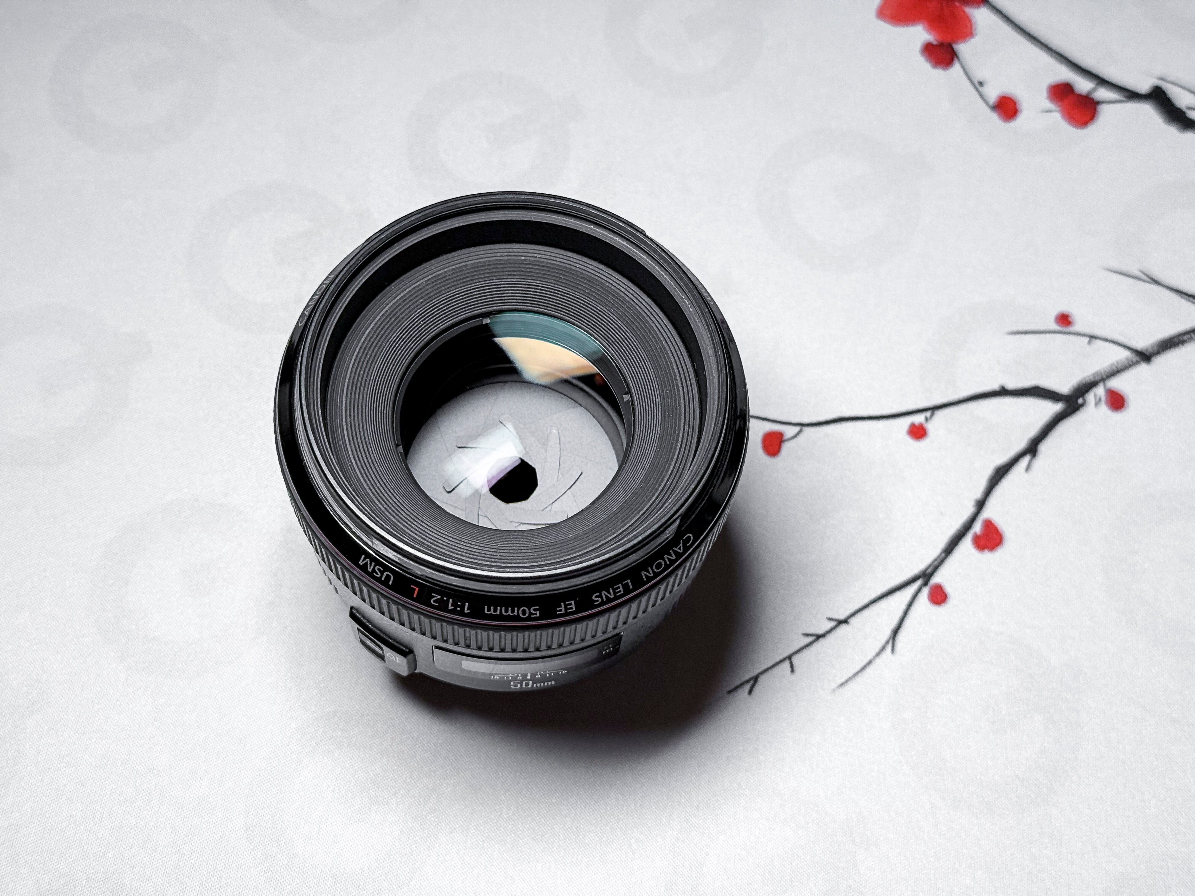 Canon EF 50mm f/1.2 USM L - Garanzia di 1 anno, ottimo con custodia e paraluce