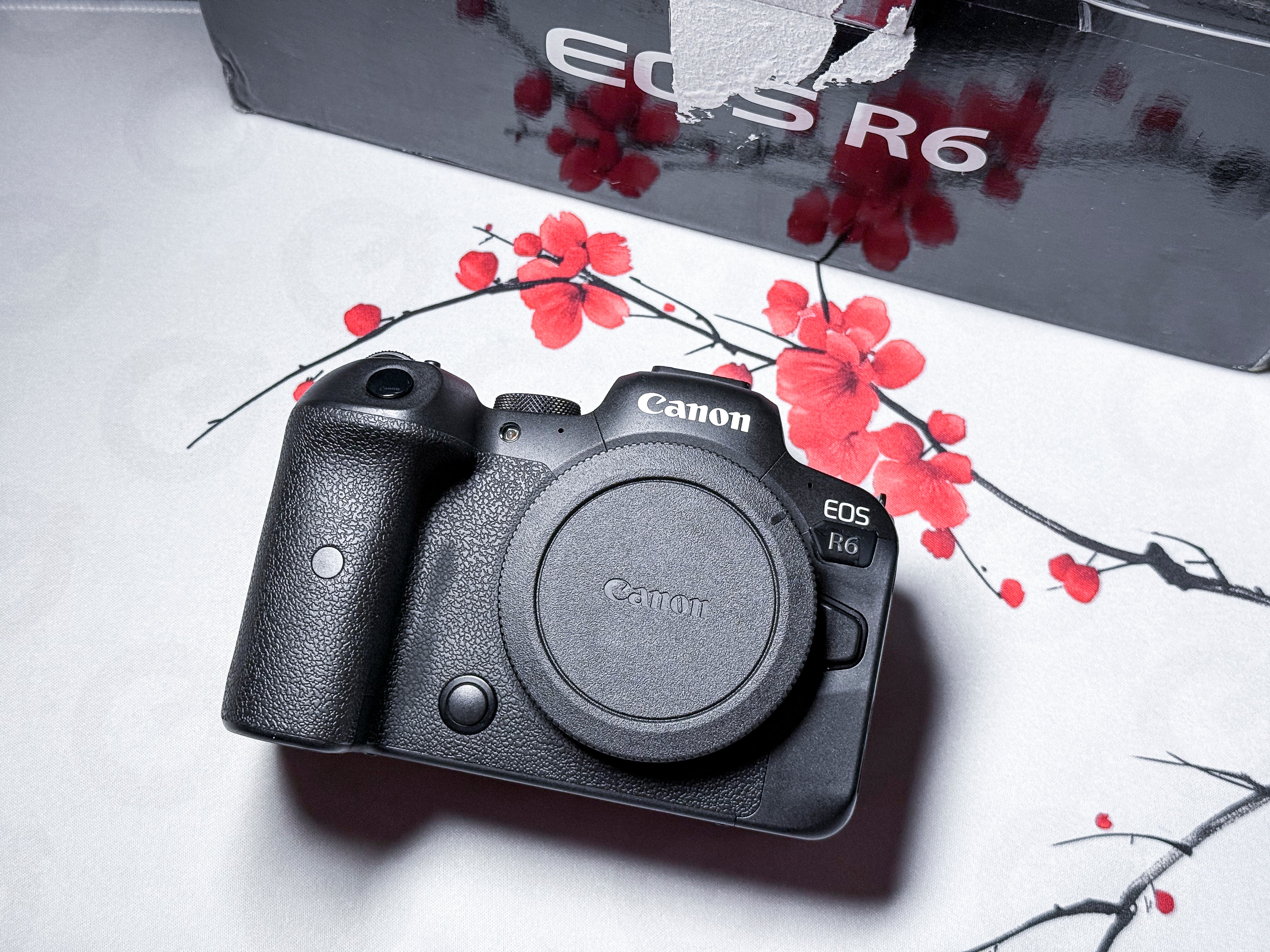 Canon EOS R6 Mirrorless Full Frame RF 20.1 Mpx - Working with sensor issue