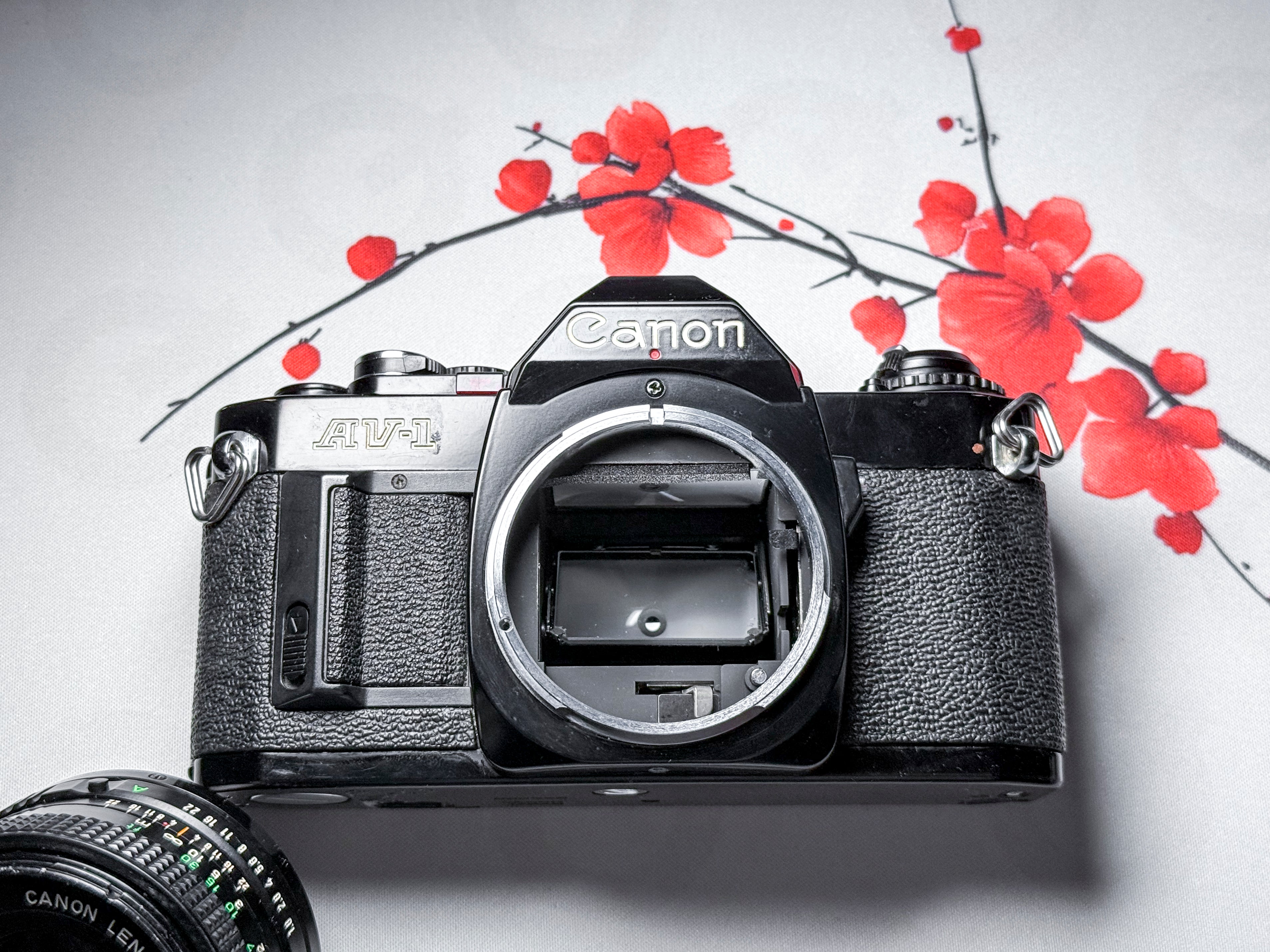 Canon AV-1 + 50mm f/1.8 FD 35mm Film Reflex - Funzionante, buone condizioni AV1