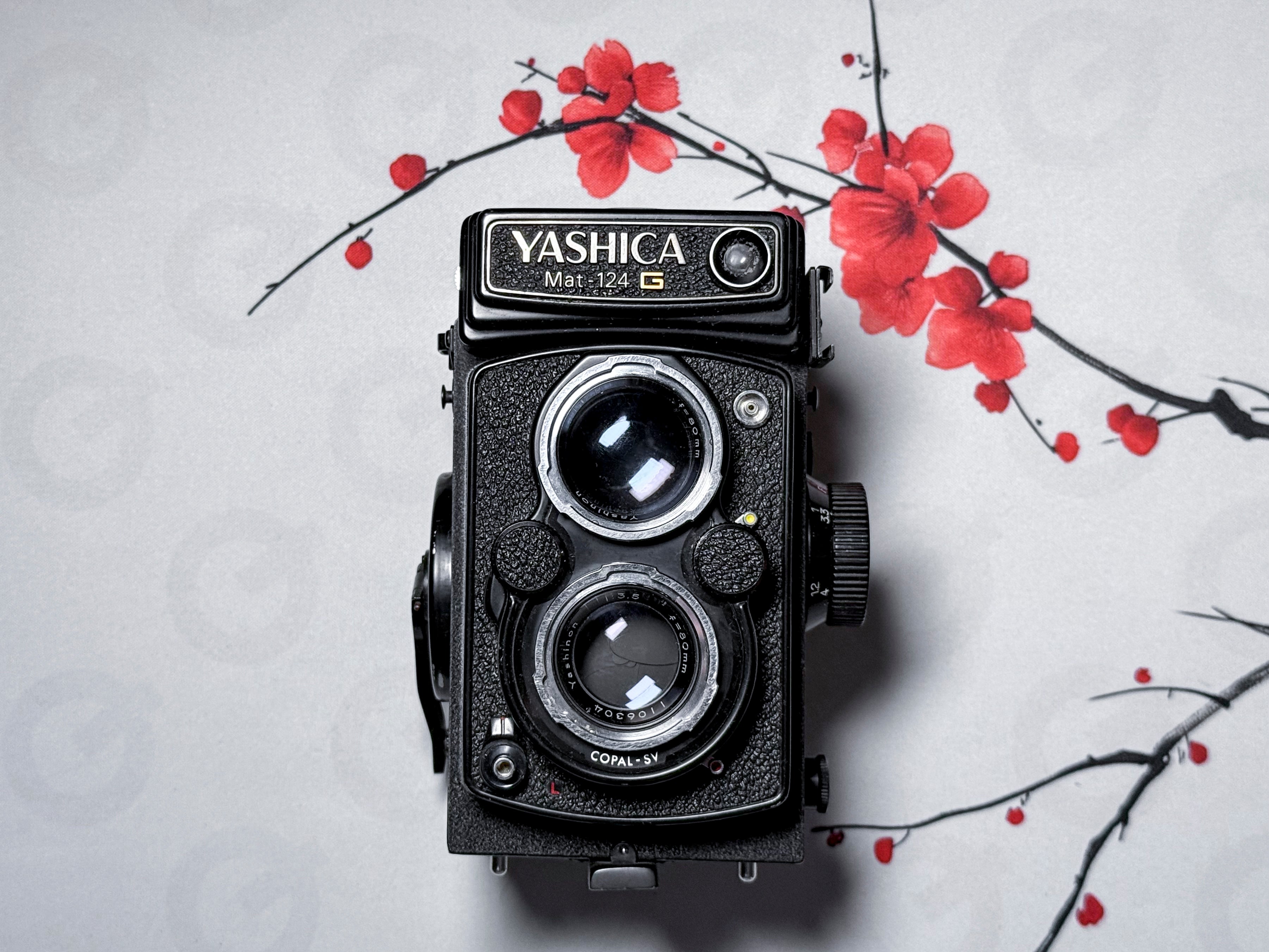 Yashica Mat-124g Fotocamera TLR a pellicola di medio formato 120 - Funzionante