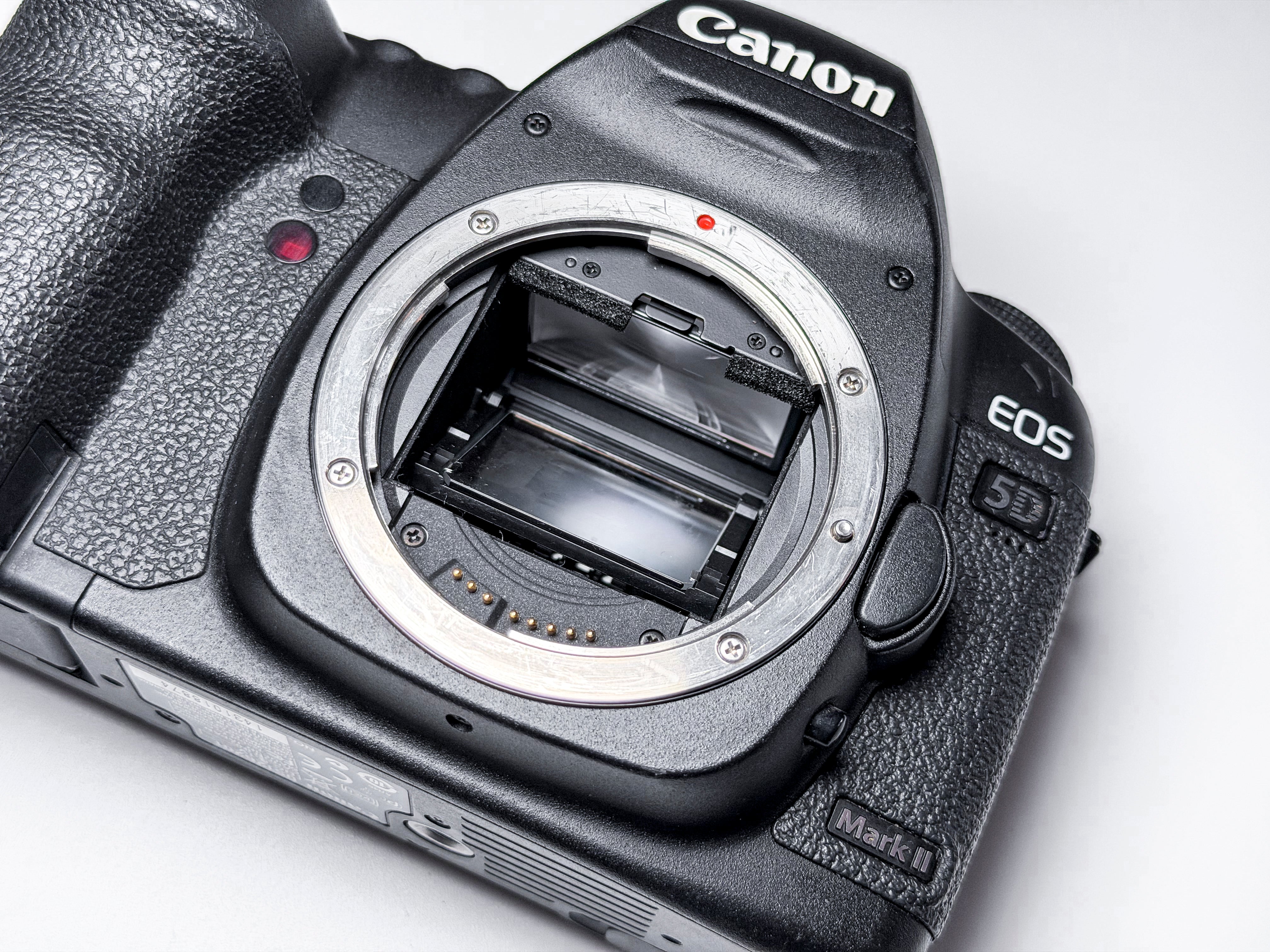 Canon EOS 5D Mark II DSLR 21,1 Mpx - Excellent, 1 Year Warranty