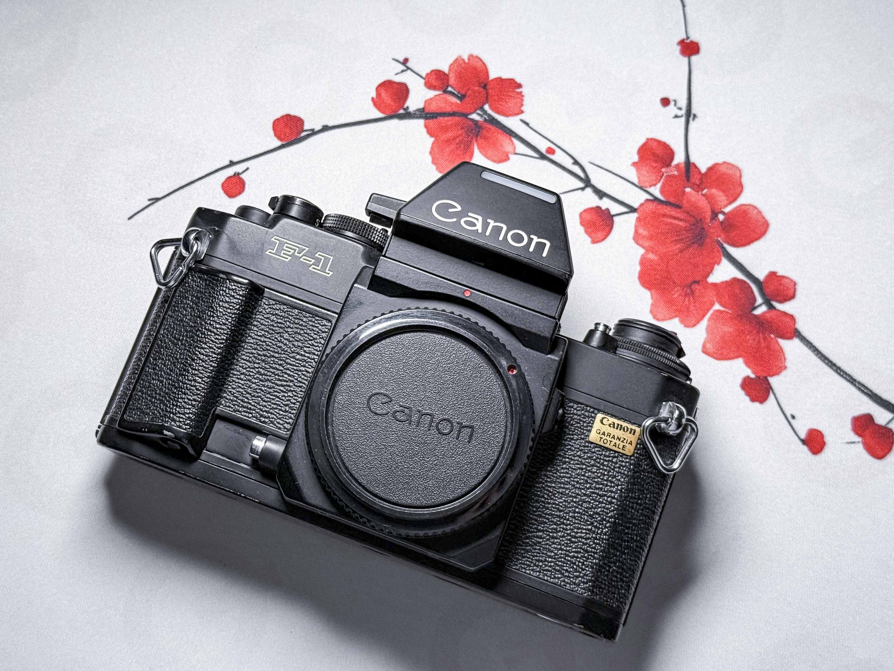 Canon F1 New 35mm SLR Camera FD Mount New F-1 - Film Tested, Excellent