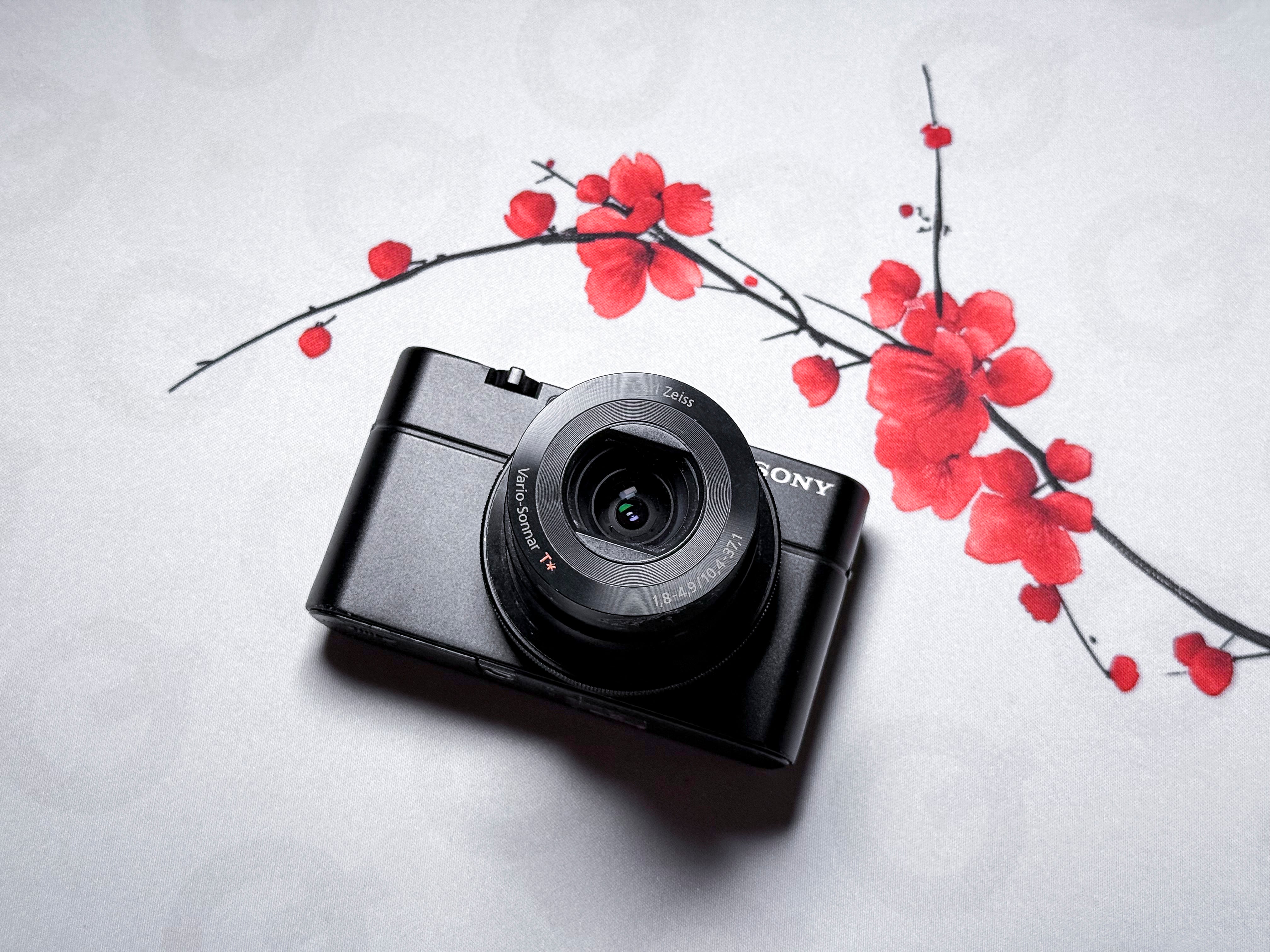 Sony RX100 Cyber-shot DSC-RX100 - For spare or repair, lens error