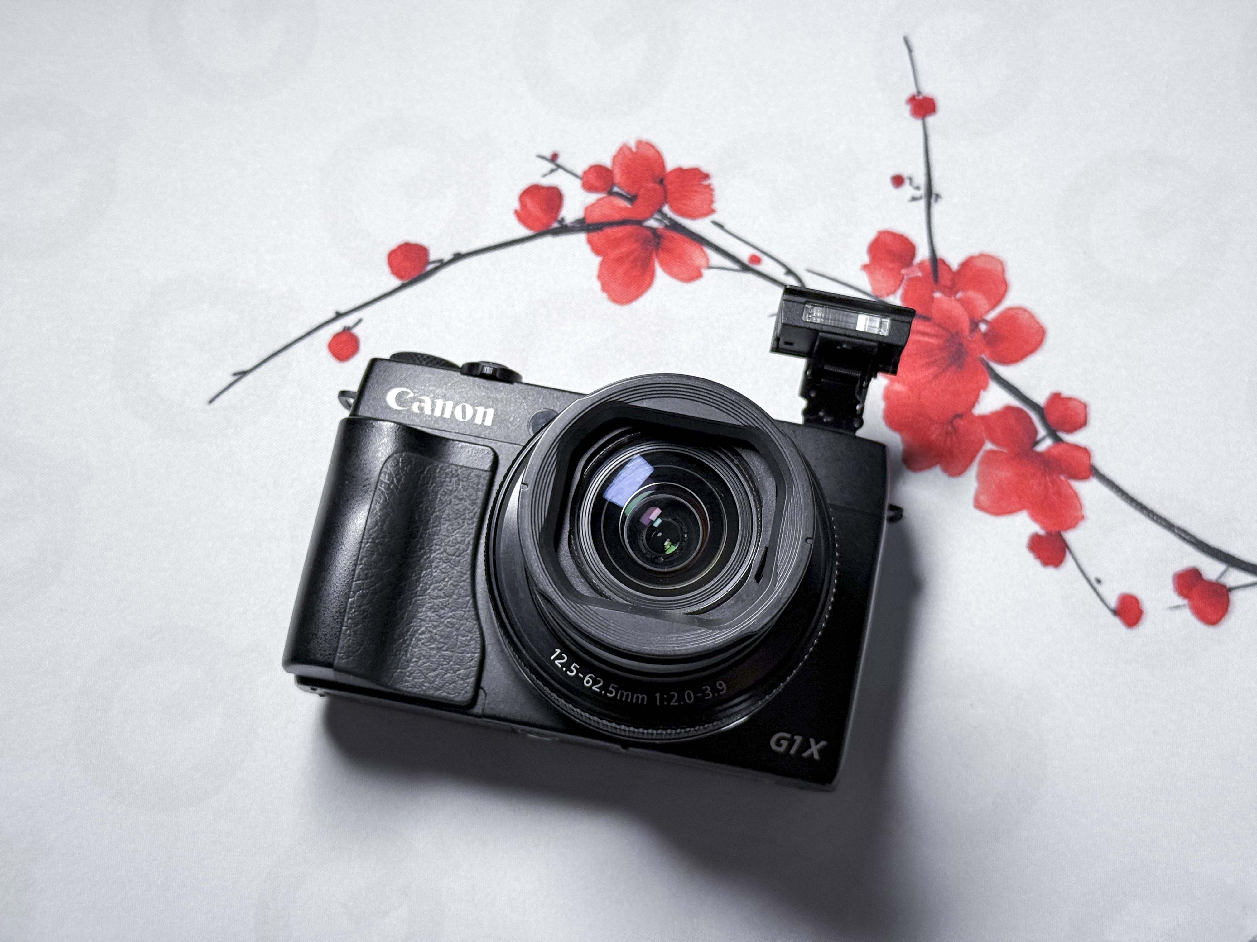 Fotocamera compatta Canon Powershot G1X Mark II - Eccellente, garanzia di 1 anno