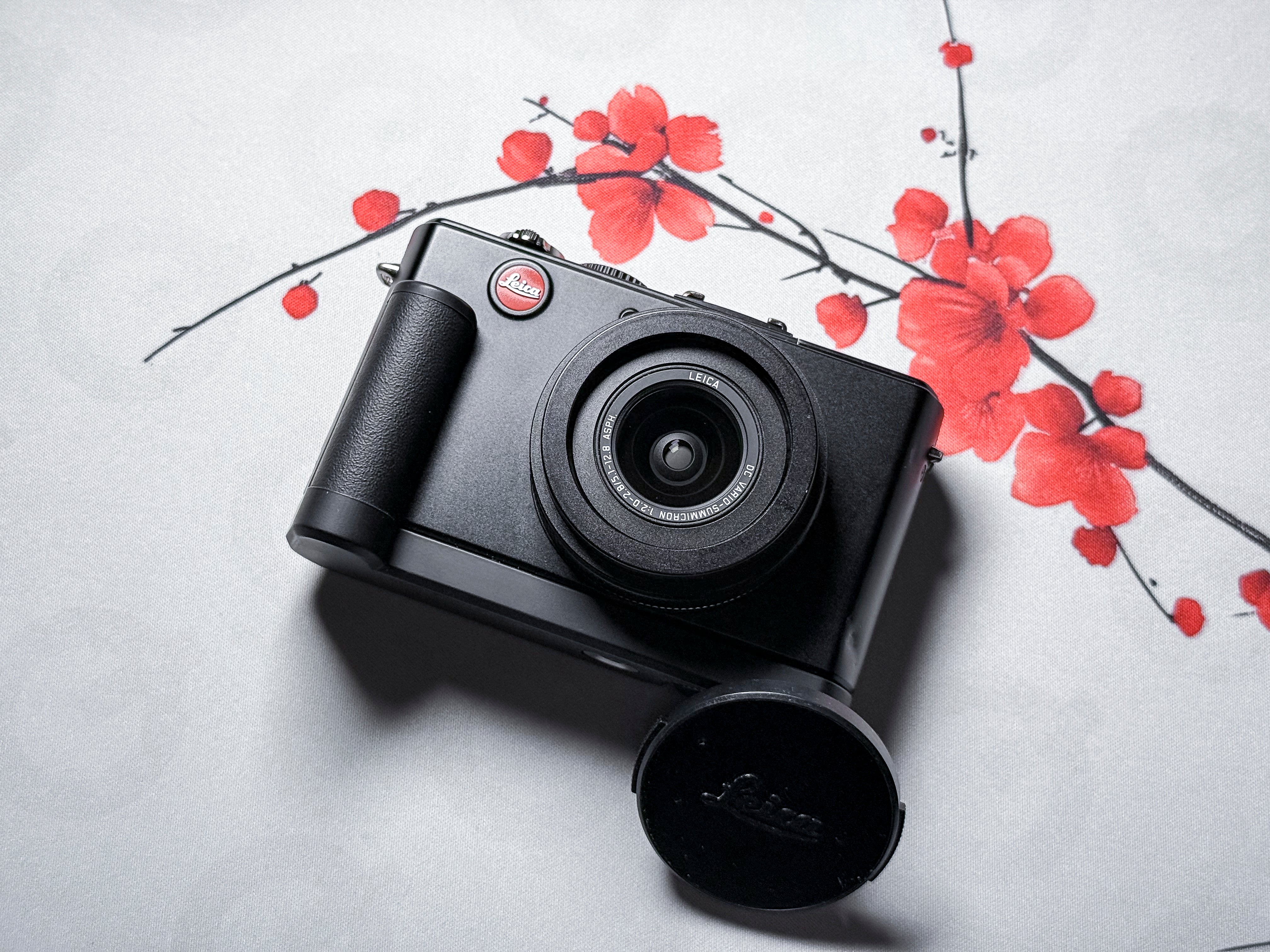 Leica D-Lux 4 + Grip CCD Summicron 24-60mm - 1 Year Warranty, Excellent DLUX 4