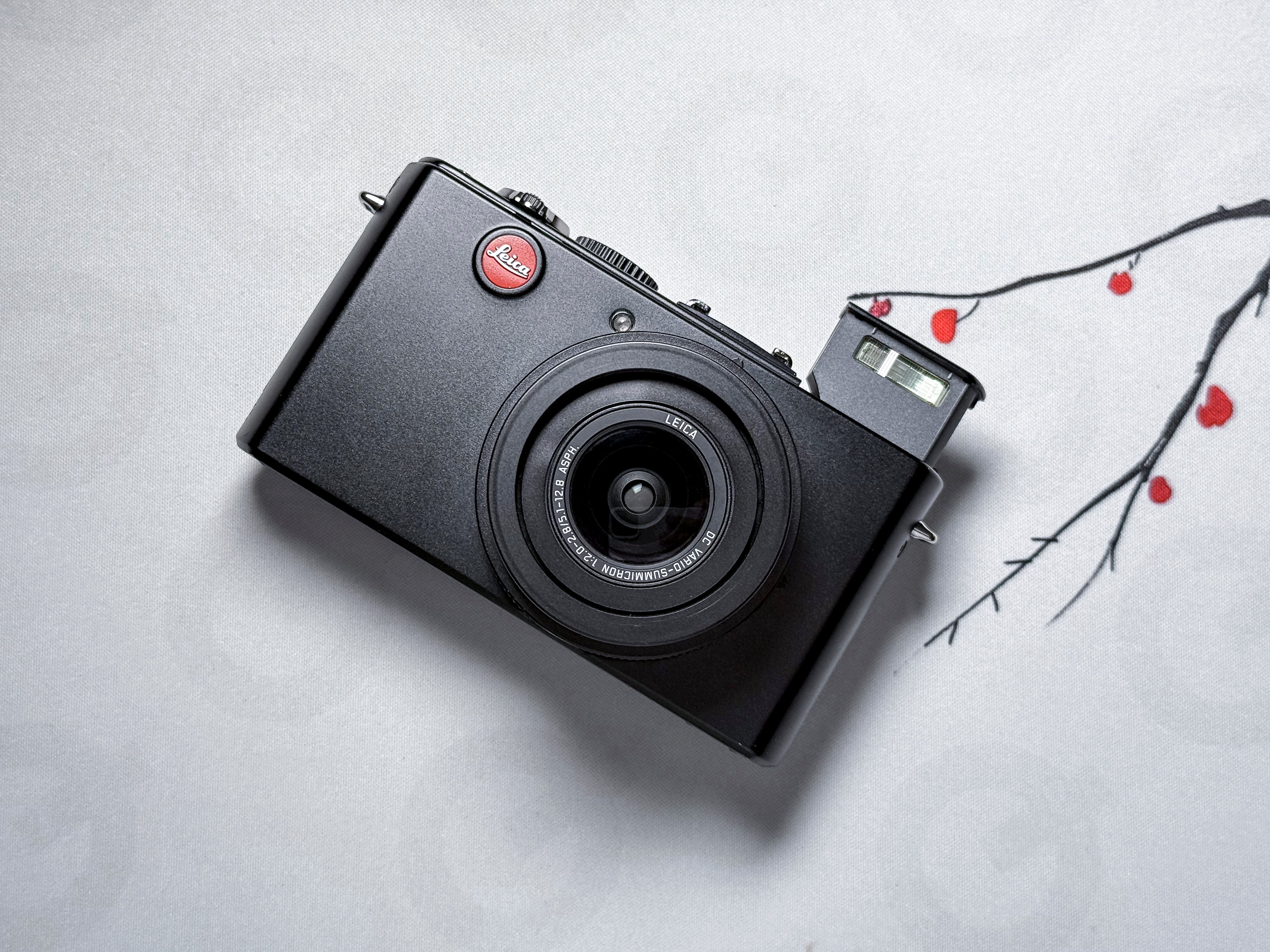 Leica D-Lux 4 + Case CCD Summicron 24-60mm - 1 Year Warranty, Near Mint DLUX 4