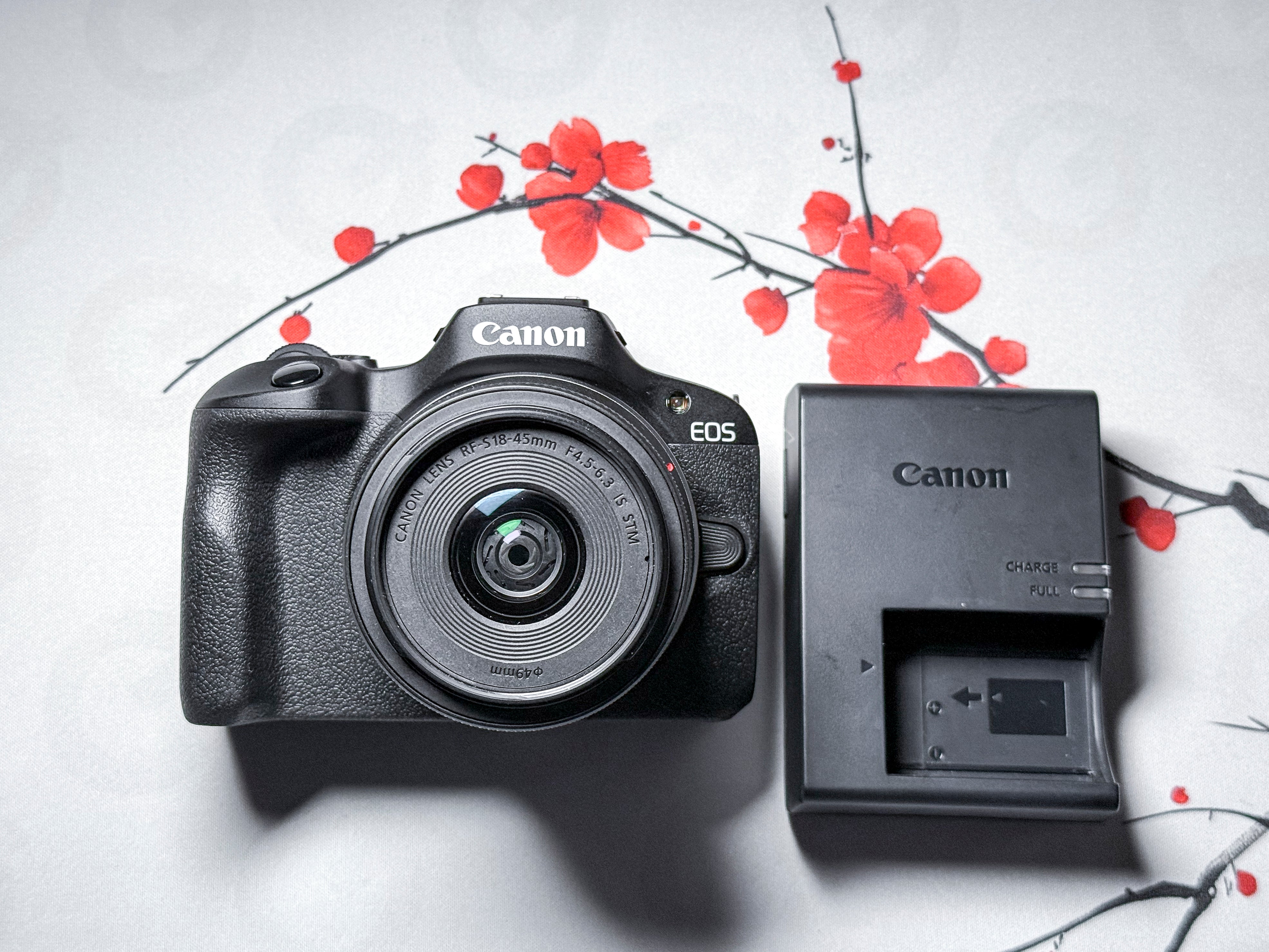 Canon EOS R100 + 18-45mm STM RF-S APS -C Mirroless Kit - Warranty, Mint RF