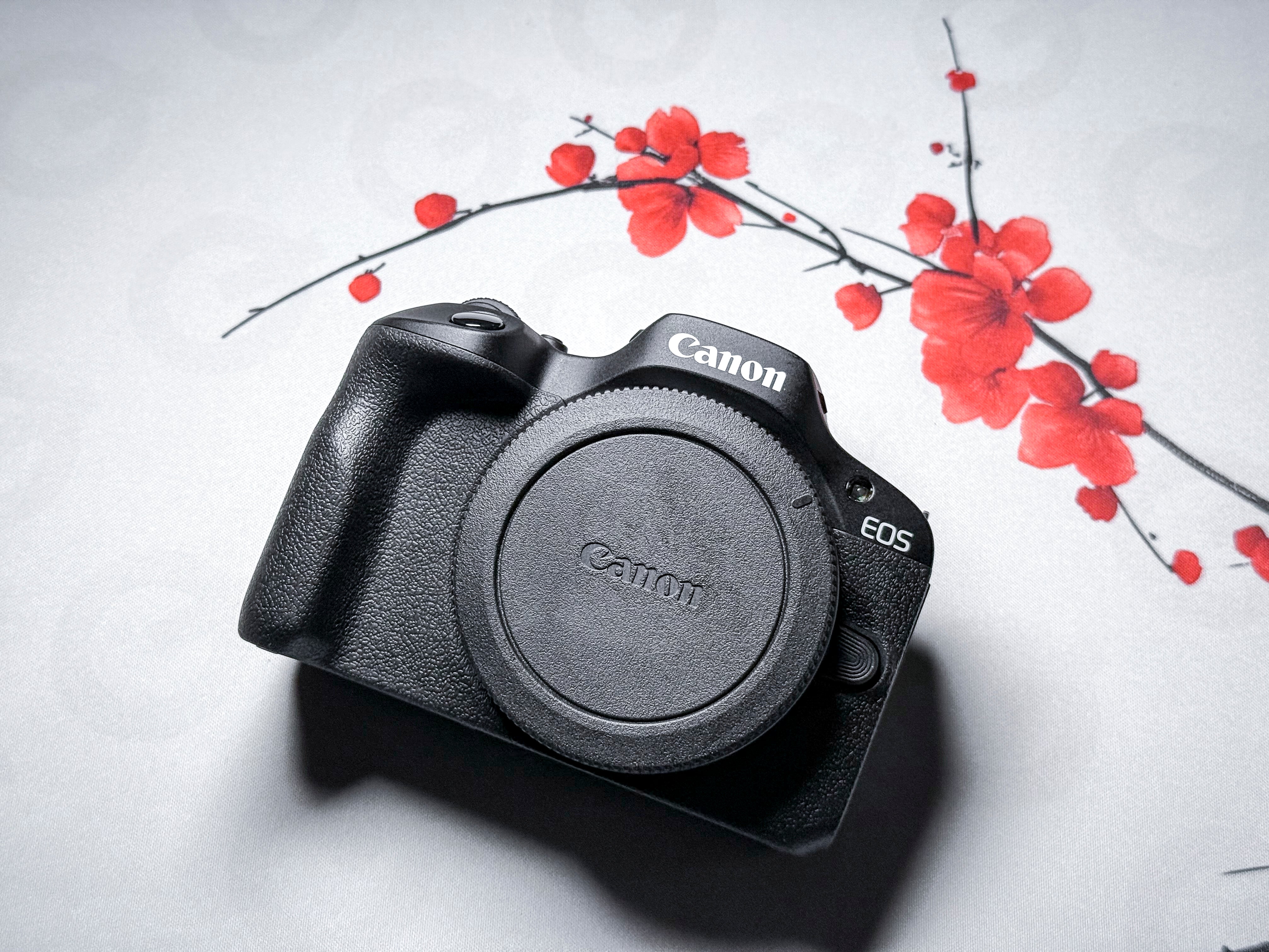 Canon EOS R100 + 18-45mm STM RF-S APS -C Mirroless Kit - Warranty, Mint RF