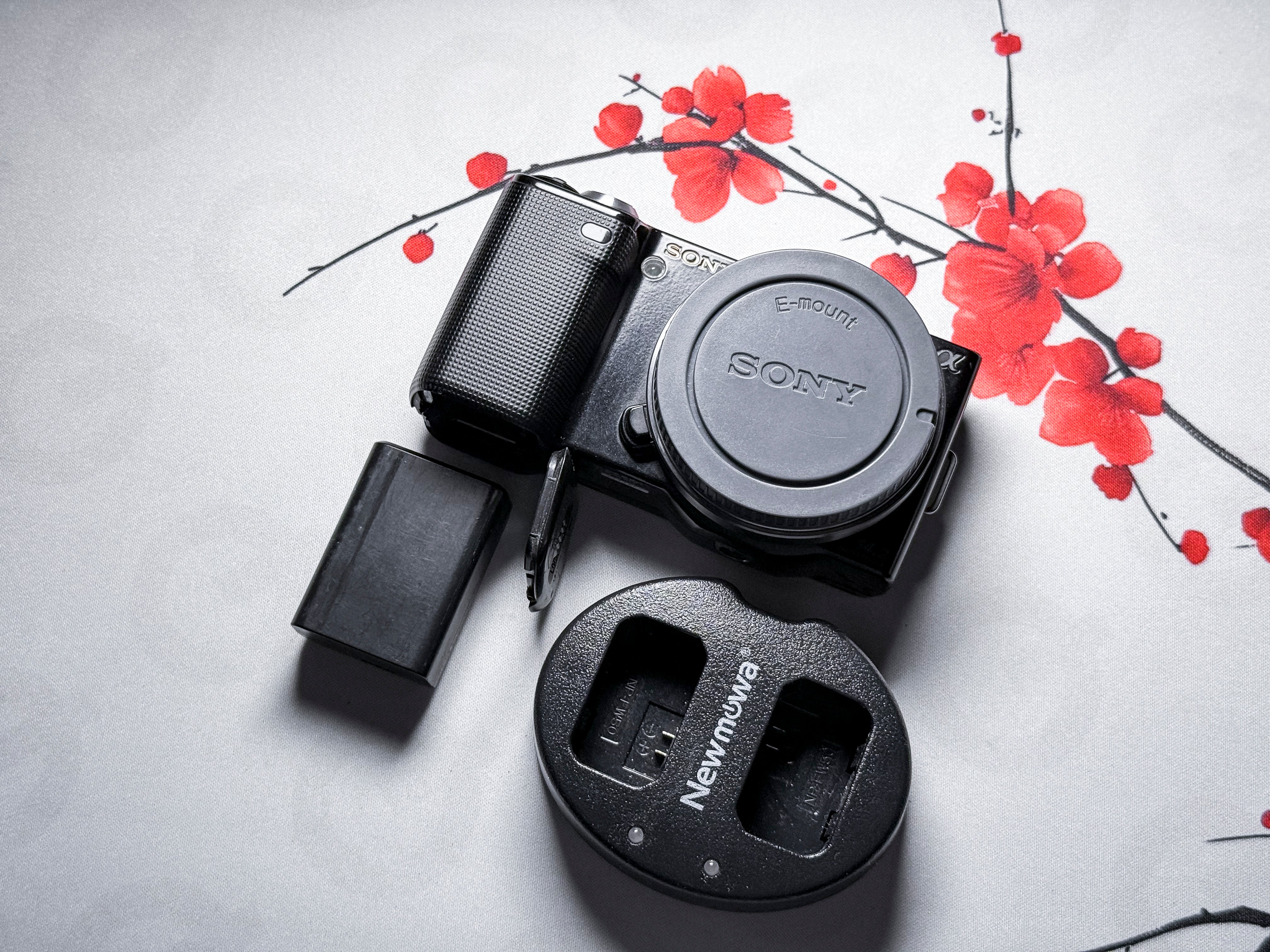 Sony Alpha NEX-5 APS-C Mirrorless E-Mount - Perfettamente funzionante